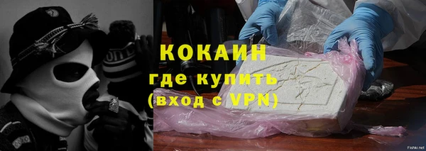 шишки Краснотурьинск