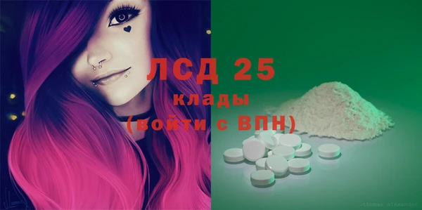 шишки Краснотурьинск