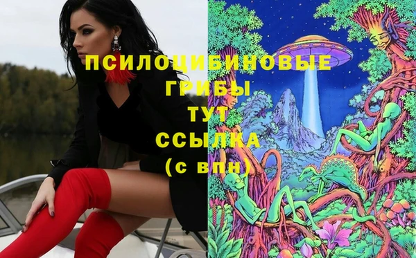 шишки Краснотурьинск