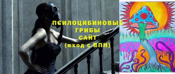 экстази Краснослободск