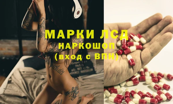 шишки Краснотурьинск