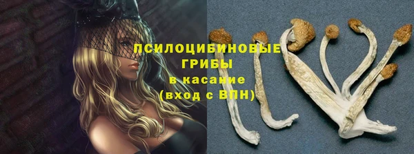 экстази Краснослободск